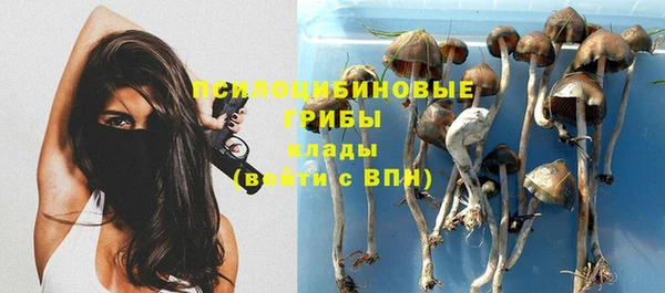 молекула духа Волосово