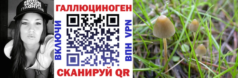 Галлюциногенные грибы ЛСД  где можно купить наркотик  Жердевка 